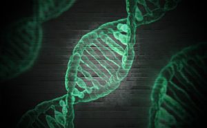 genetics and genomics testing 