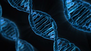 Epigenetics Gene Expression Research Studies testing